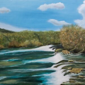 הלגונה, נחל דן